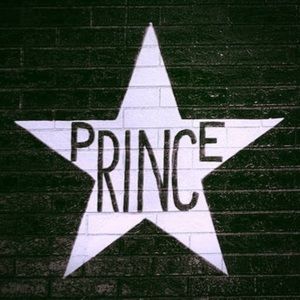 Meet your Posher, Lynette